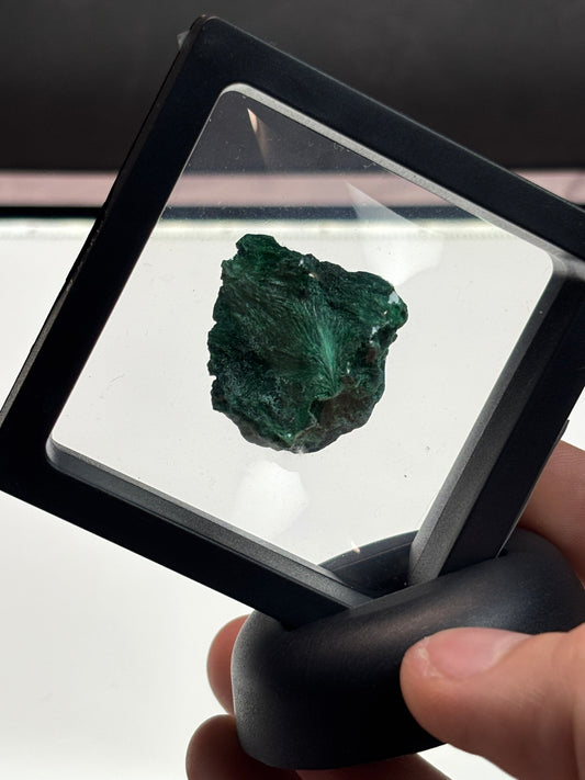 Fibrous Malachite Specimen! 2.5” Display