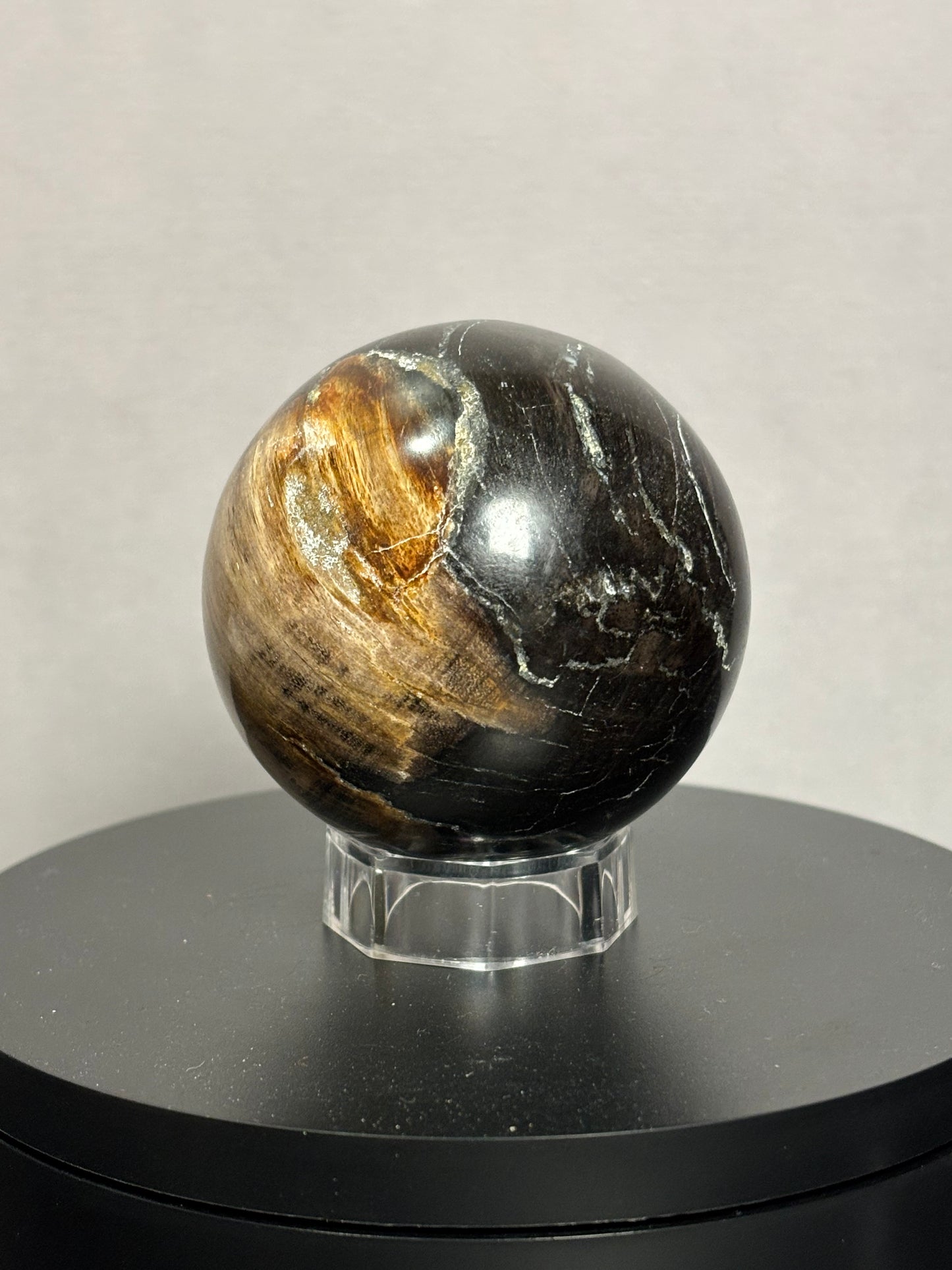 Petrified Wood Sphere!