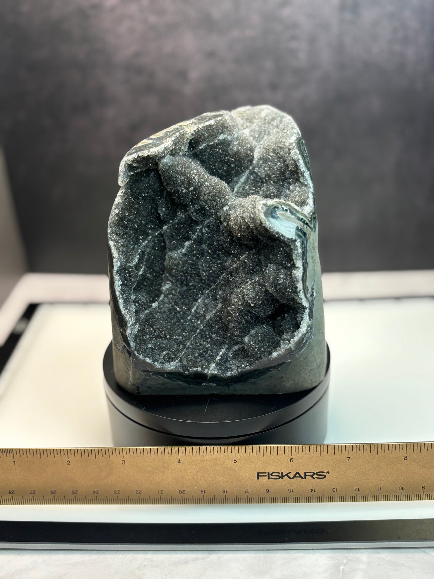 Black Amethyst Specimen! Cut Base