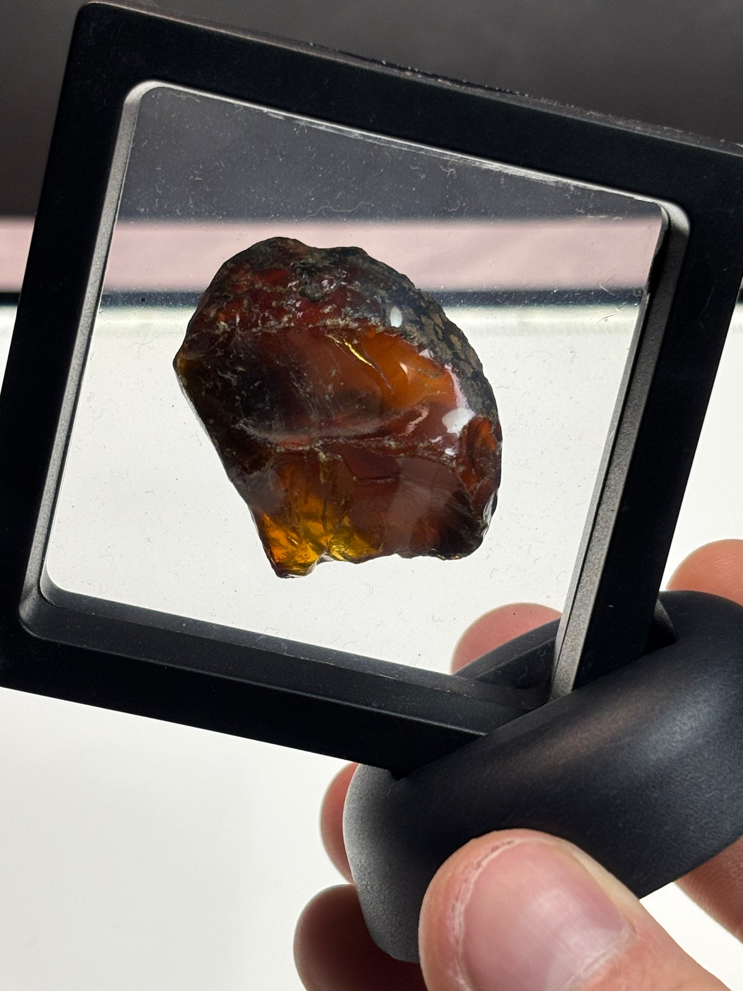 Amber Specimen! Deep color! 2.5” Display