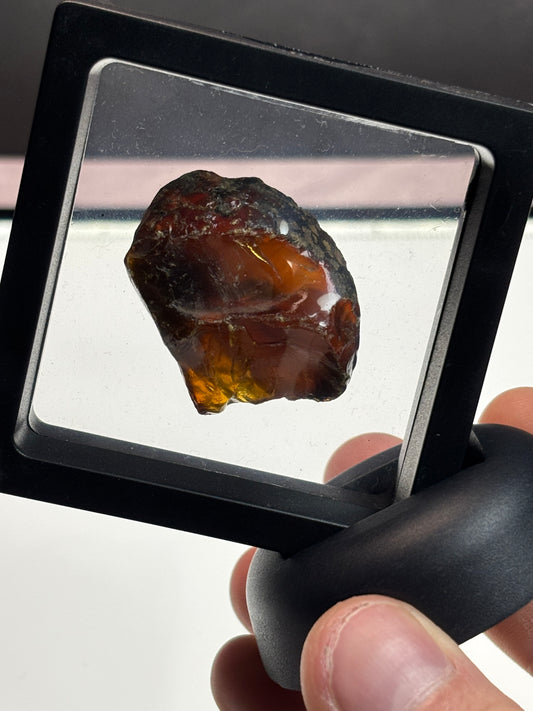 Amber Specimen! Deep color! 2.5” Display