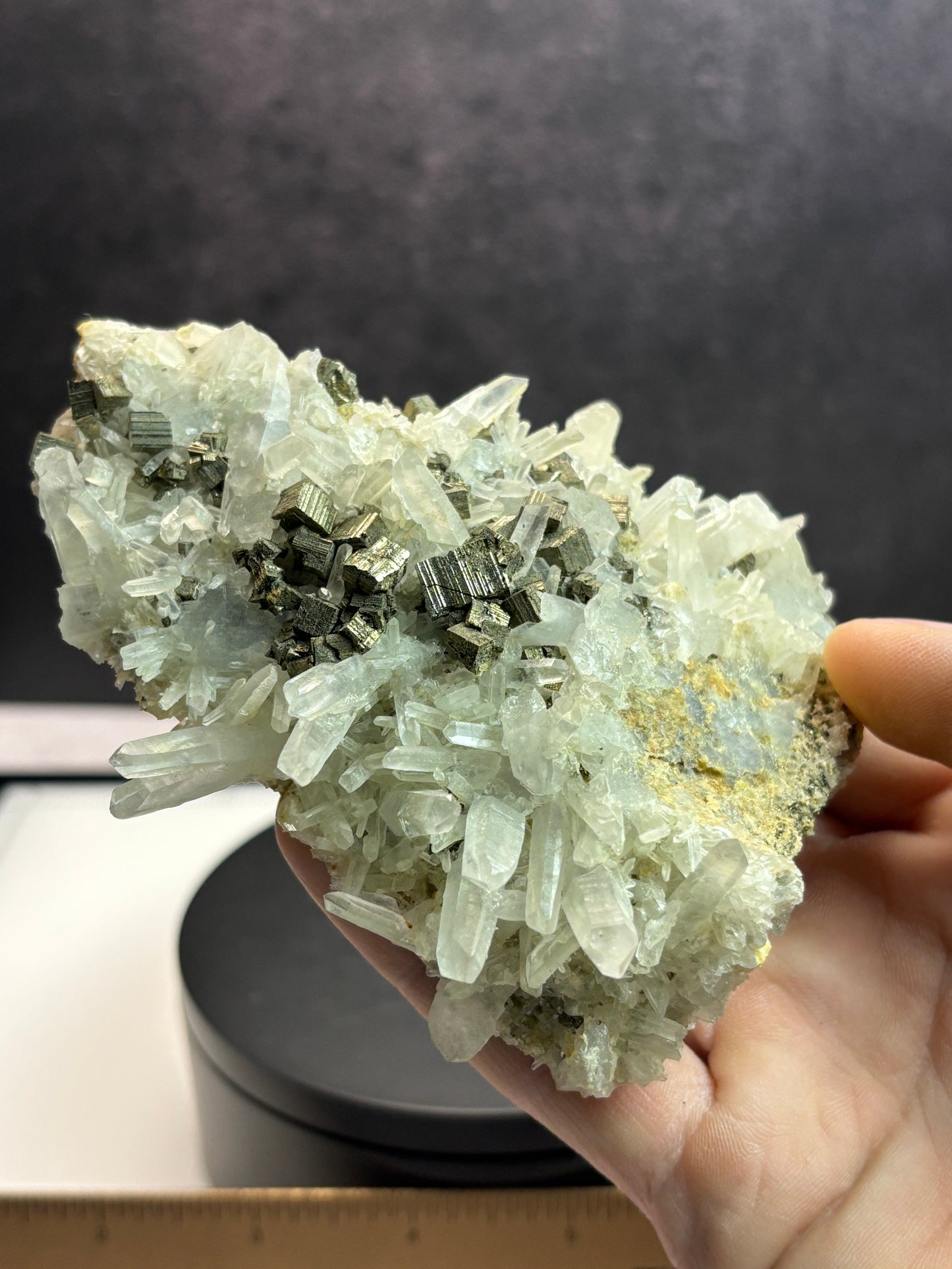 Pyrite on Quartz - Peru