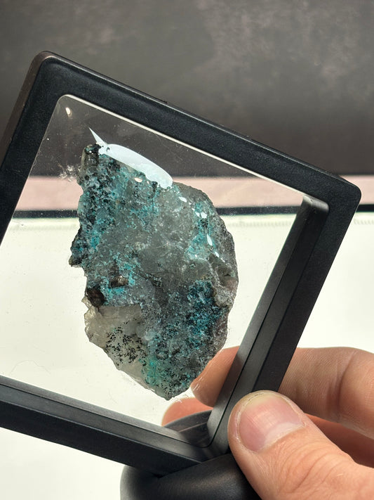 Chrysocolla on Quartz! 3.5” Display