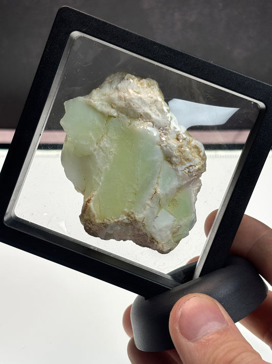 White Lime Chrysoprase Specimen! 3.5” Display