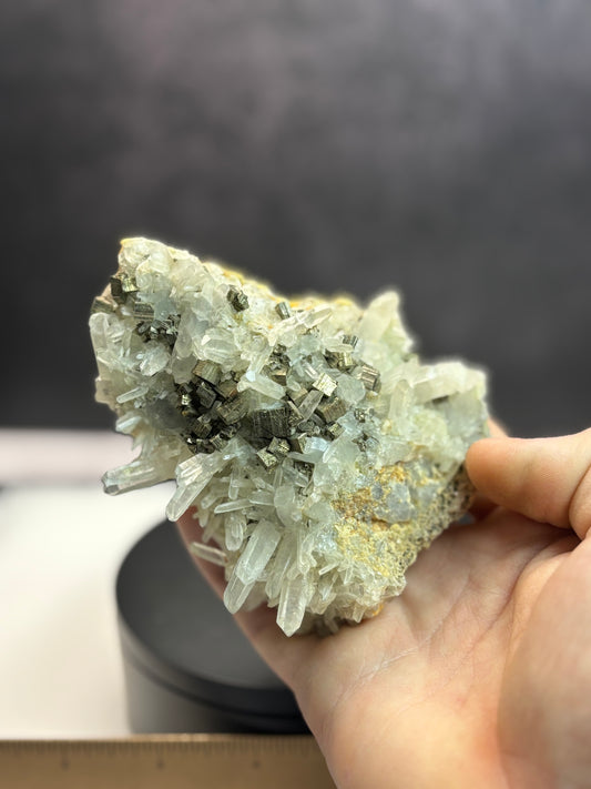 Pyrite on Quartz - Peru
