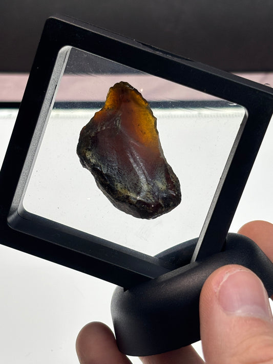 Amber Specimen! Blue Under UV! 2.5” Display