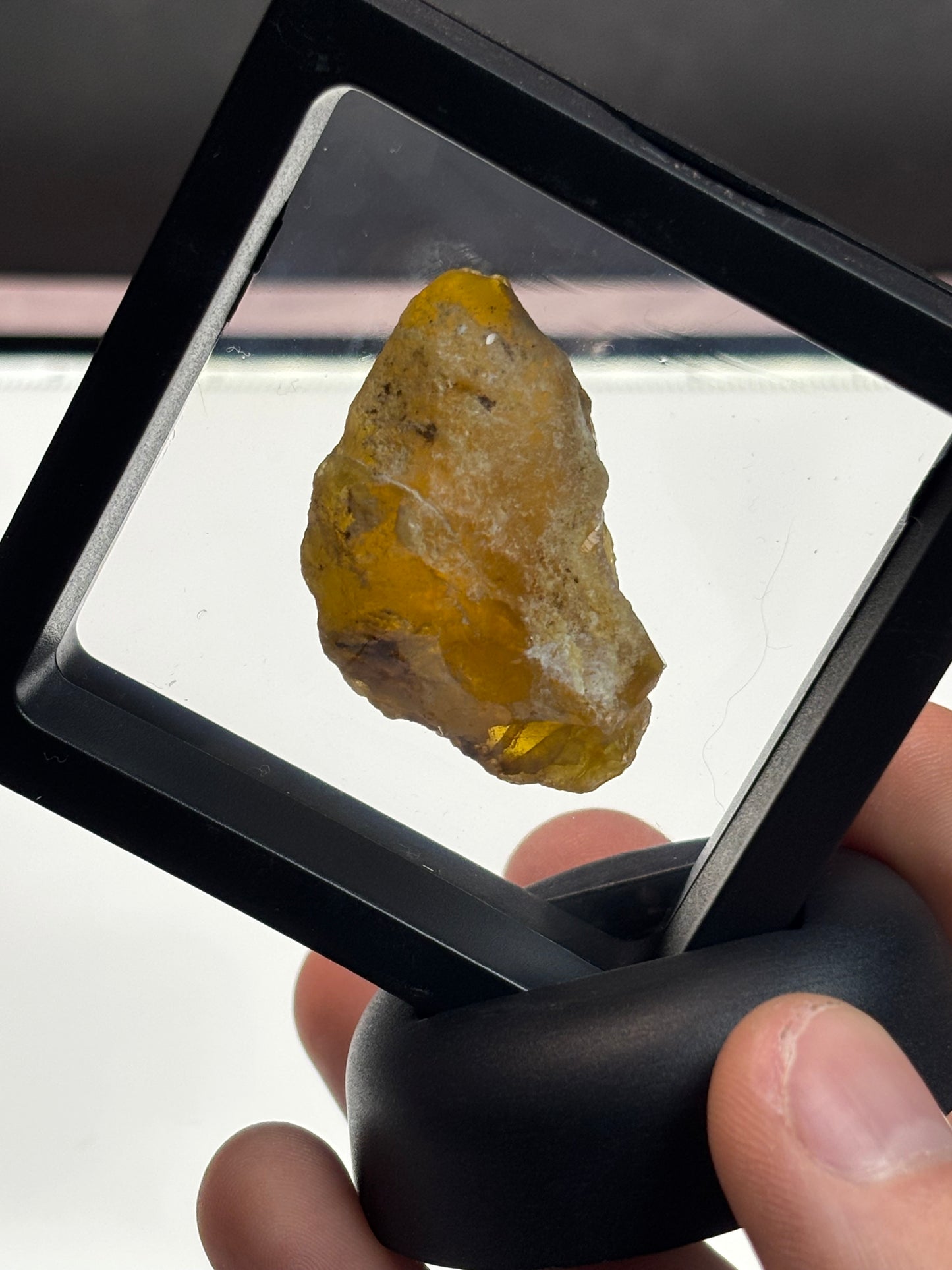 Yellow Opal Specimen! 2.5” Display