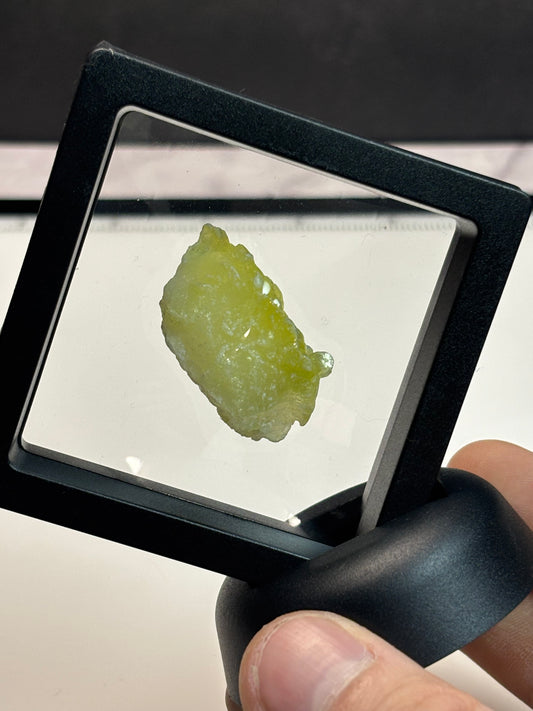 Brucite Specimen! 2.5” Display