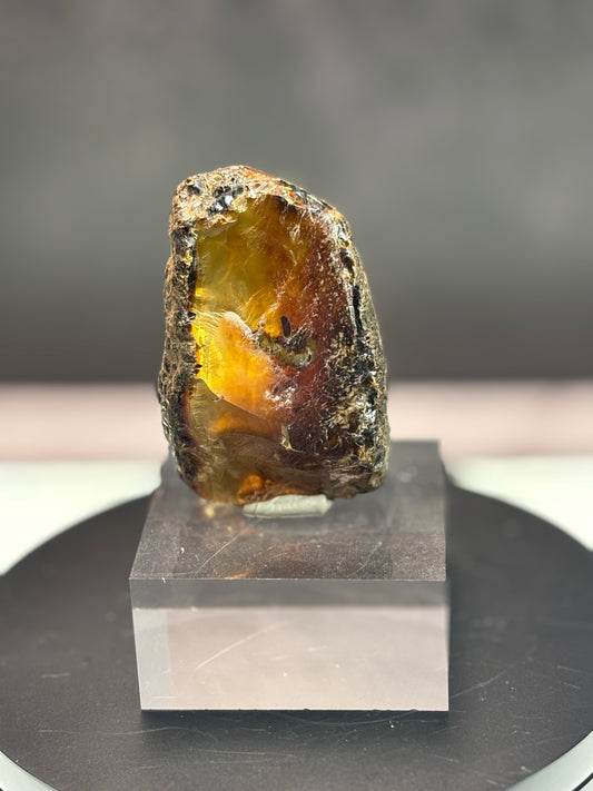 Amber - Indonesia