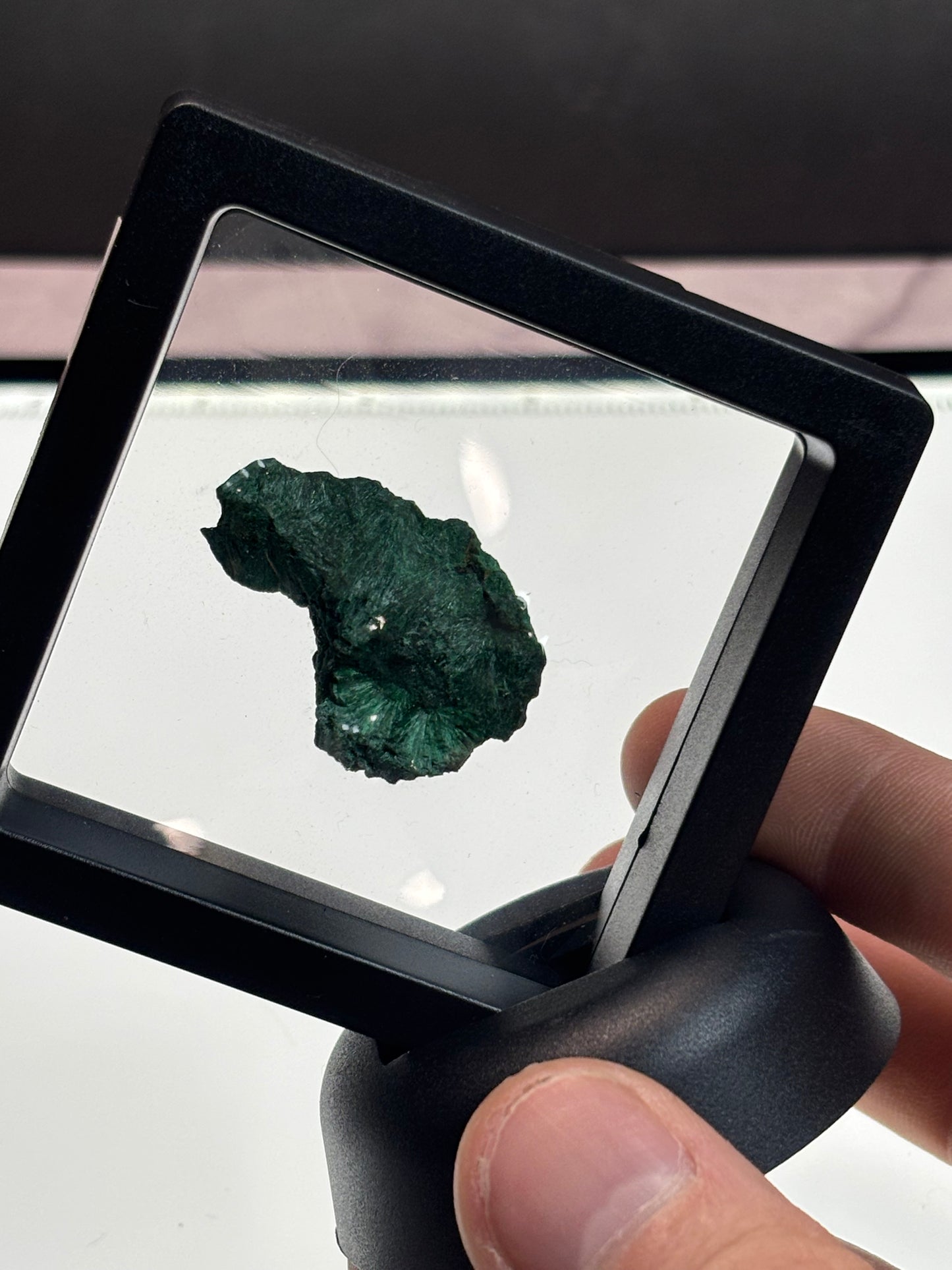 Fibrous Malachite Specimen! 2.5” Display