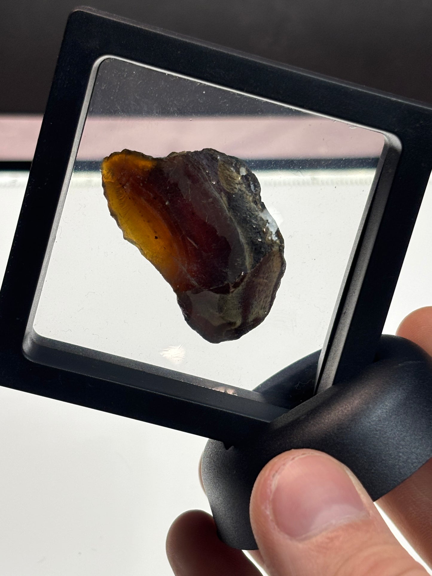 Amber Specimen! Blue Under UV! 2.5” Display