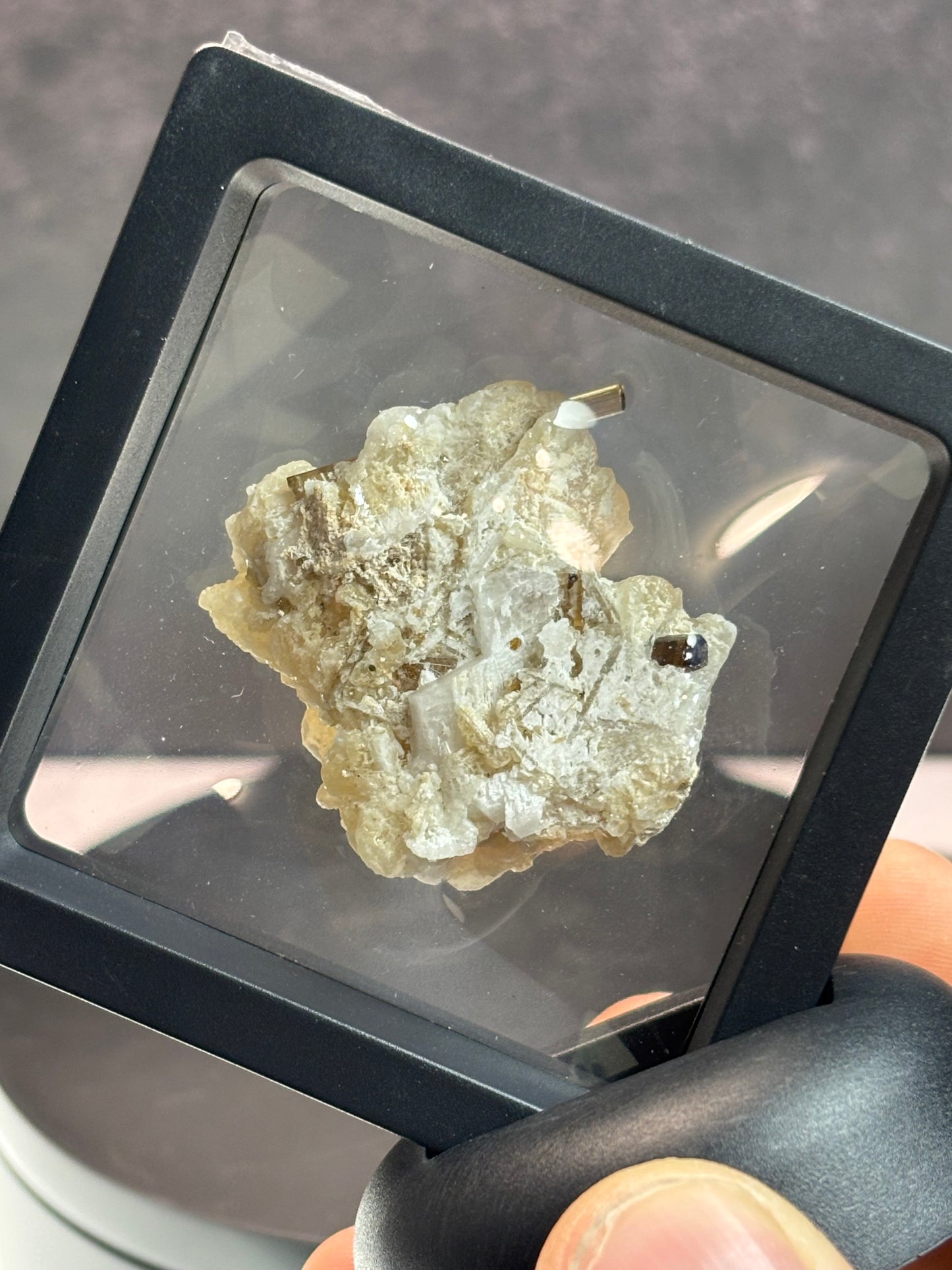 Brown Tourmaline on a Matrix Specimen! 2.5” Display