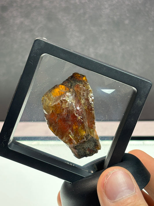 Amber Specimen! Blue Under UV Light! 2.5” Display