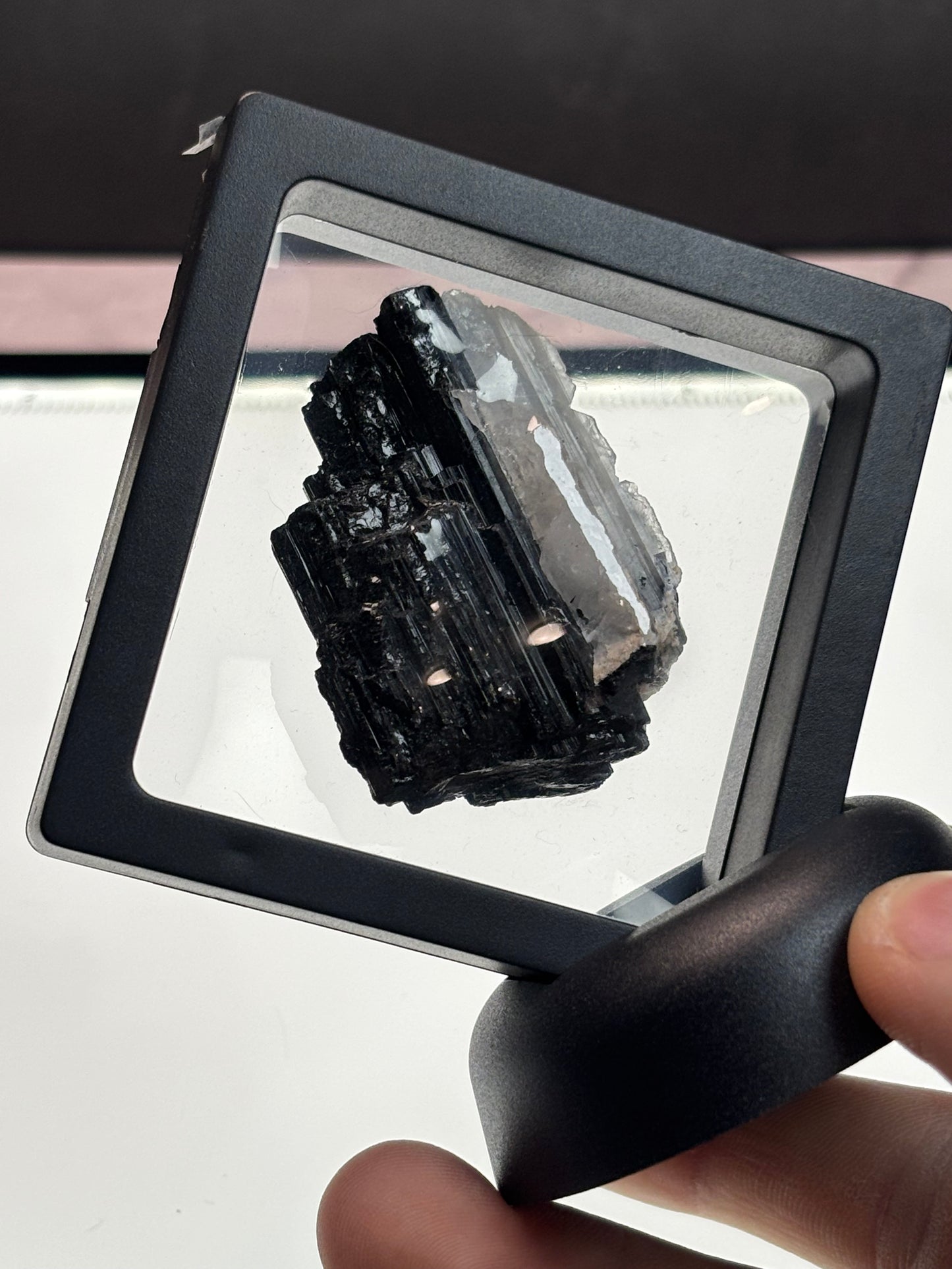 Black Tourmaline Specimen! 2.5” Display