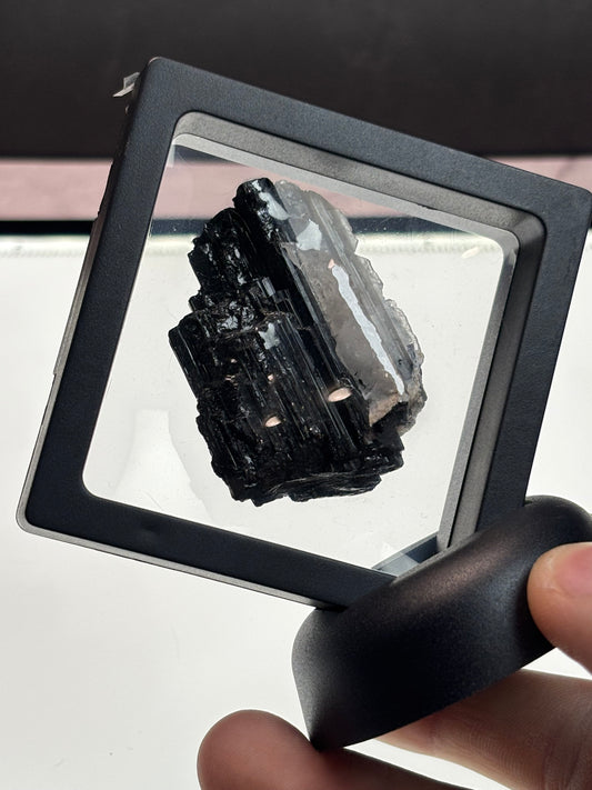 Black Tourmaline Specimen! 2.5” Display