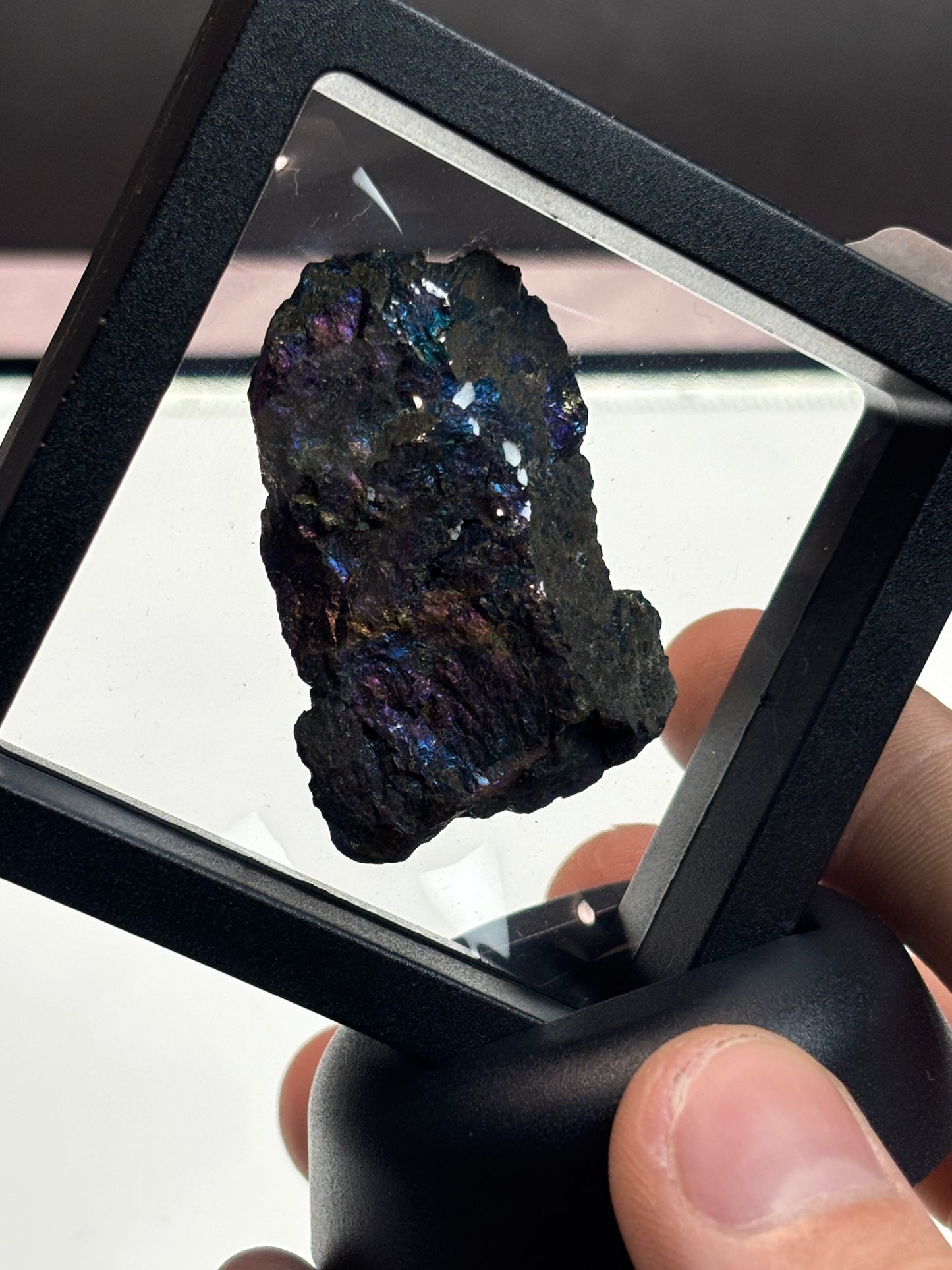 Chalcopyrite/Peacock Ore Specimen! 2.5” Display