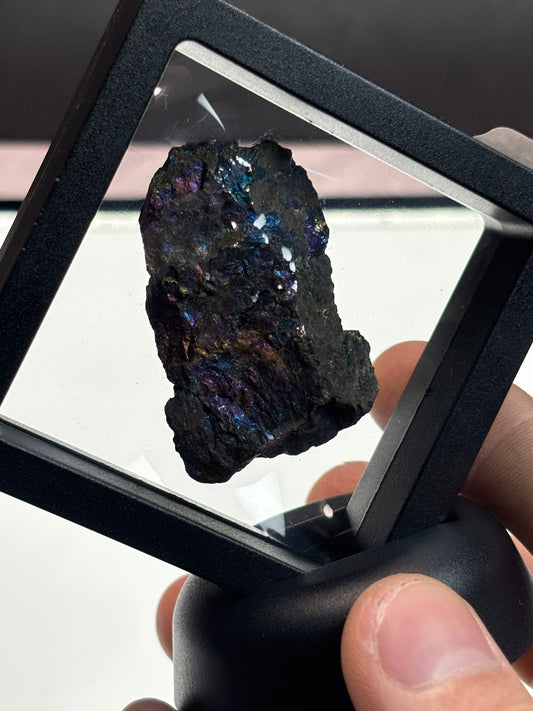 Chalcopyrite/Peacock Ore Specimen! 2.5” Display